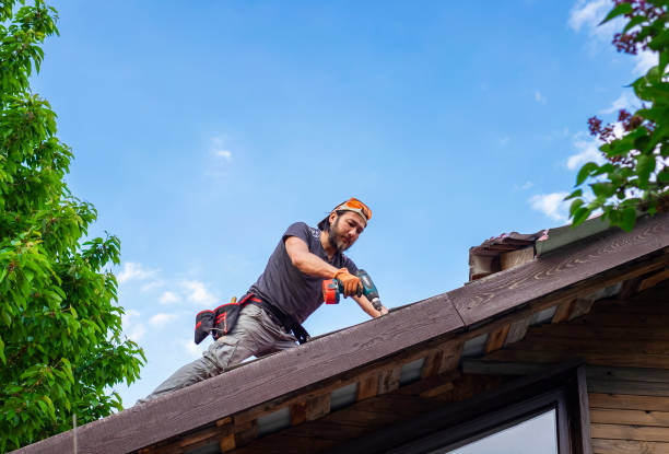 Best Chimney Flashing Repair  in Dublin, VA