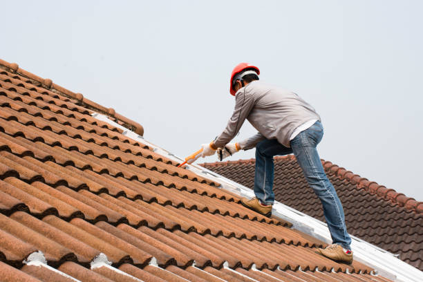 Best Wood Shake Roofing  in Dublin, VA