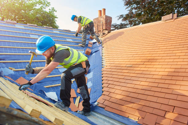 Best Chimney Flashing Repair  in Dublin, VA